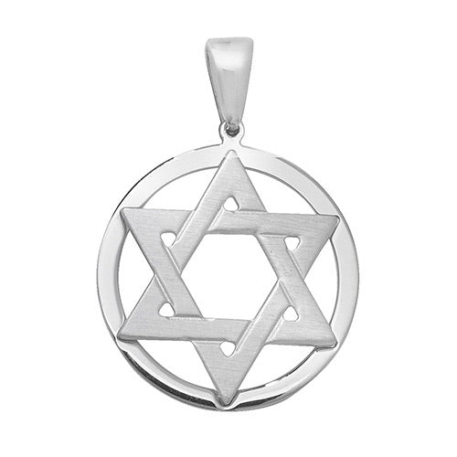 Star of David / shield of David in circle of life pendant